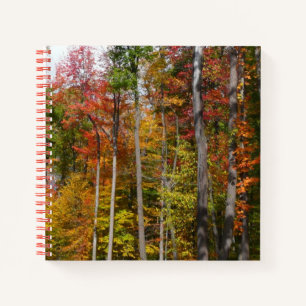 Cuaderno Caída en la colorida fotografía de otoño en el bos