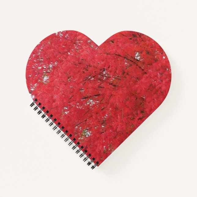 Cuaderno Caída naranja deja bloc de notas (Anverso)