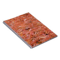 Caída Roja Otoño Sale Notepad