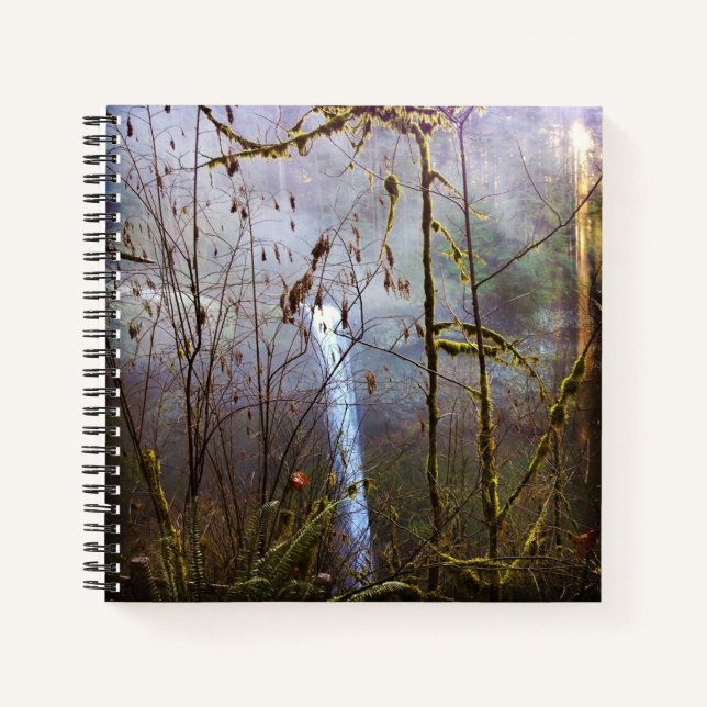 Cuaderno Caídas de plata sur, OR (Anverso)
