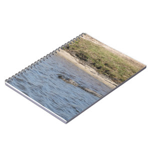 Cuaderno Caimán americano nadando en una marisma