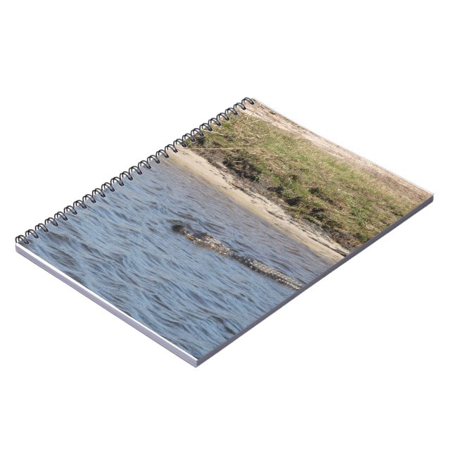 Cuaderno Caimán americano nadando en una marisma (Lado Izquierdo)