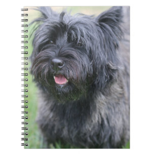 Cuaderno Cairn