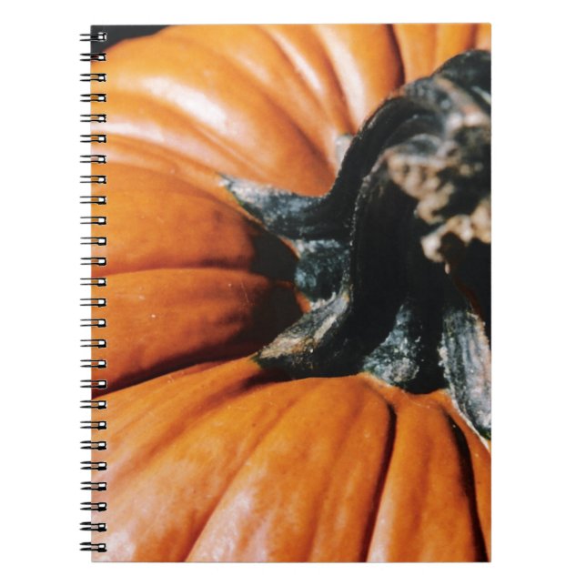 CUADERNO CALABAZA! (Frente)