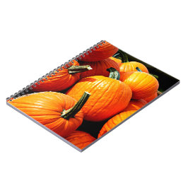 Cuaderno ¡¡¡Calabazas!!!