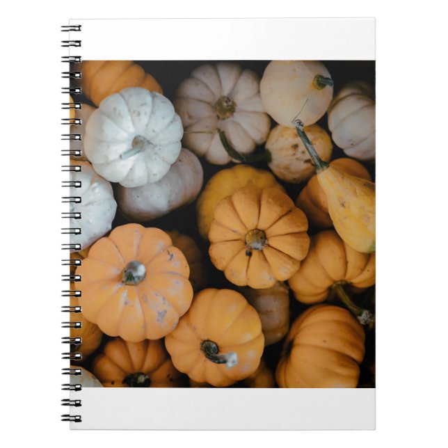 Cuaderno calabazas (Frente)