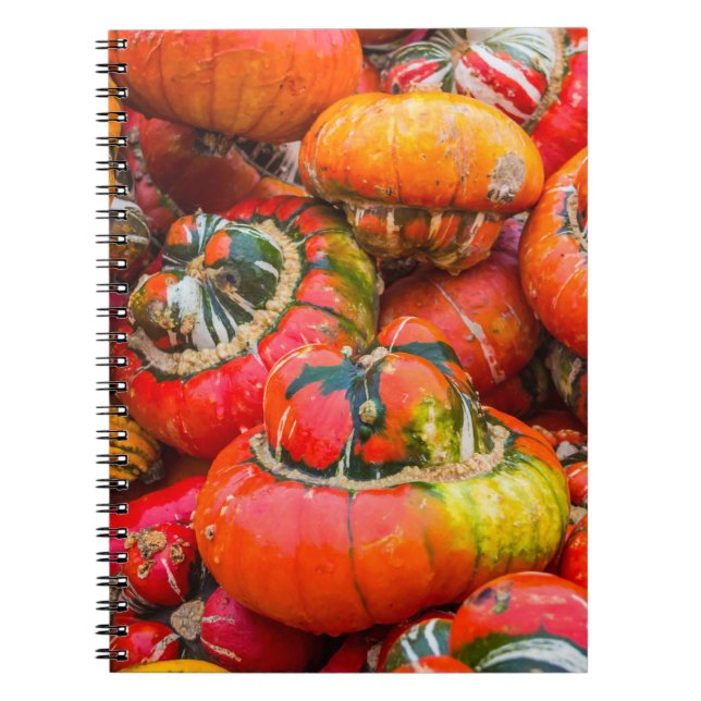 Cuaderno Calabazas coloridas (Frente)