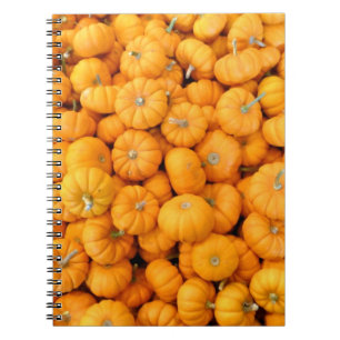 Cuaderno Calabazas de cosecha de Naranja pequeño