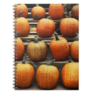 Cuaderno Calabazas de otoño