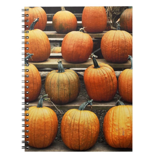 Cuaderno Calabazas de otoño (Frente)