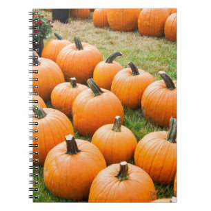 Cuaderno Calabazas para la venta en el mercado de un