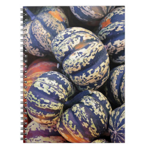 Cuaderno Calabazas rayadas rústicas