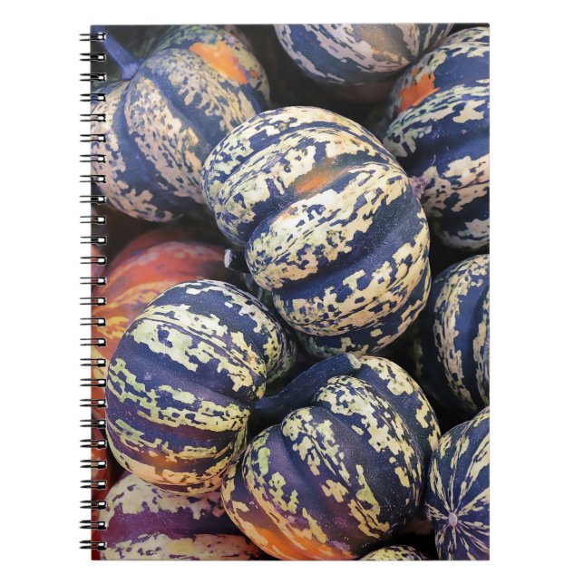 Cuaderno Calabazas rayadas rústicas (Frente)