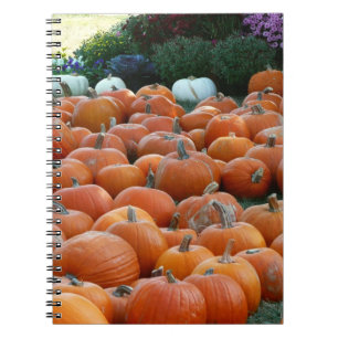 Cuaderno Calabazas y crisantemos Fotografía de la cosecha d