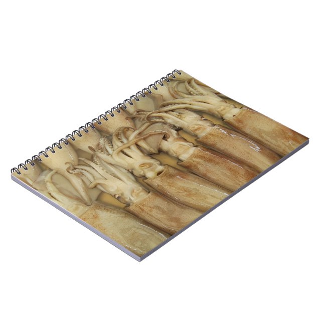 Cuaderno Calamari (Lado Izquierdo)