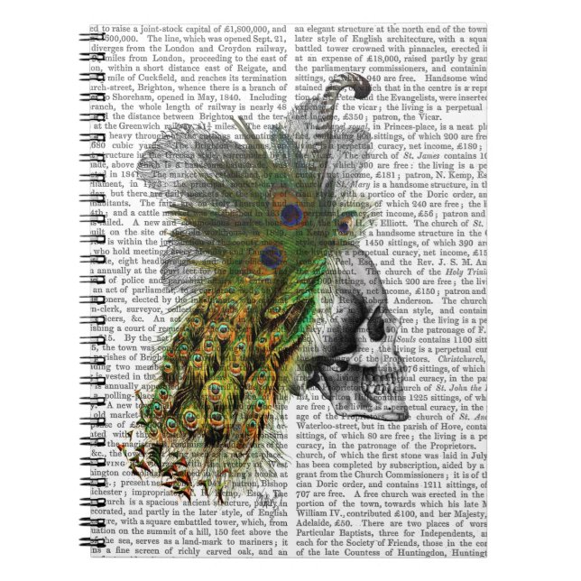 Cuaderno Calavera con cabeza de pluma (Frente)