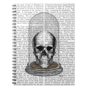Cuaderno Calavera en Bell Jar 2