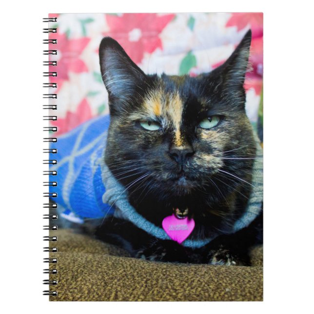 Cuaderno Calcio I (Frente)