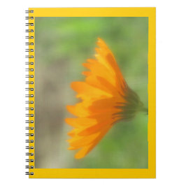 Cuaderno - Caléndula
