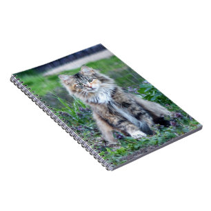 Cuaderno Calico Cat