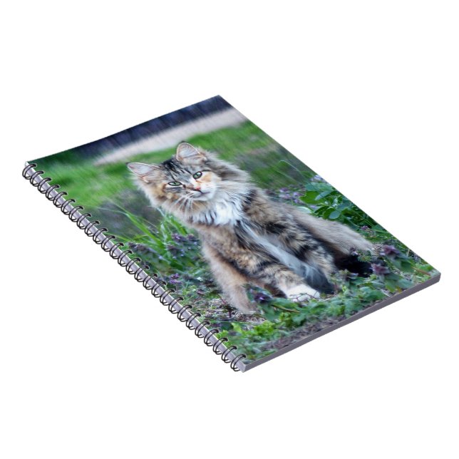 Cuaderno Calico Cat (Lado Derecho)