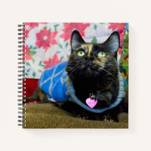 Cuaderno Calico II