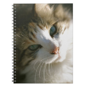 Cuaderno Calico Tiger Kitty