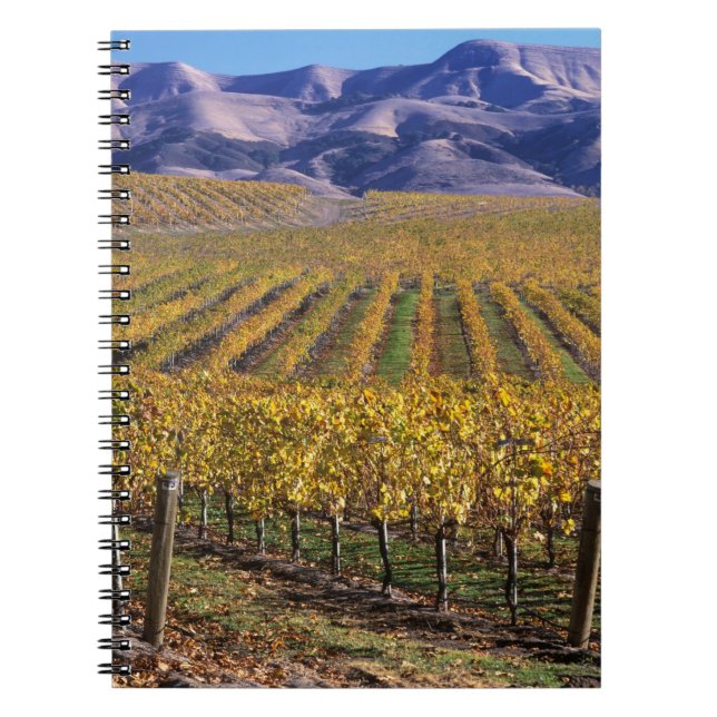 Cuaderno California, Condado de San Luis Obispo, Edna Valle (Frente)