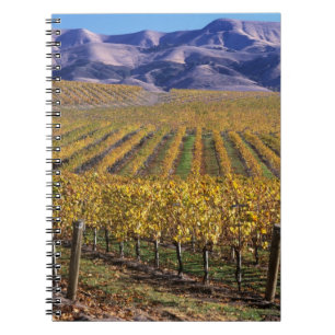 Cuaderno California, Condado de San Luis Obispo, Valle de E