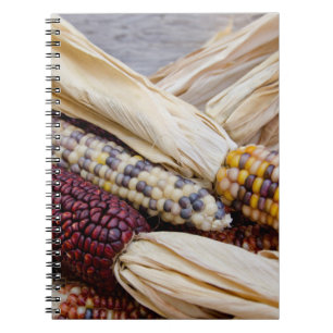 Cuaderno  California. Cosecha de otoño de maíz indio colo