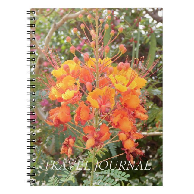 CUADERNO CALIFORNIA DESERT FLOWER #1 DIARIO DE VIAJE (Frente)