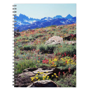 Cuaderno California, Sierra Nevada Montañas 1