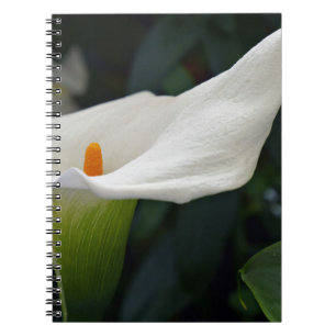 Cuaderno Calla Lily.JPG