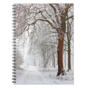 Cuaderno Calle de árboles   Parc de Stupinigi, Italia