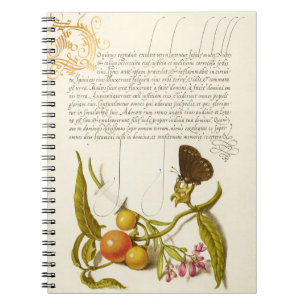 Cuaderno Calligrafía de ringlet inicial de plantas cosecha