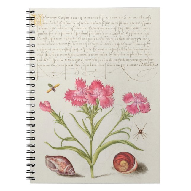 CUADERNO CALLIGRAPHY SPIDER SANTA FLOWER DOMINIO PÚBLICO BO (Frente)