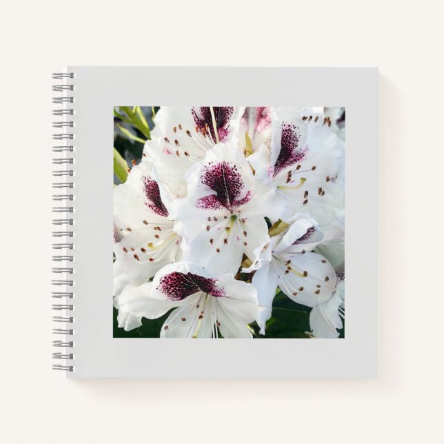 Cuaderno Calsap Rhododendros (Anverso)