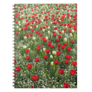 Cuaderno Cama de tulipanes