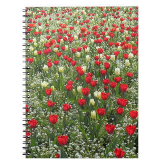 Cuaderno Cama de tulipanes