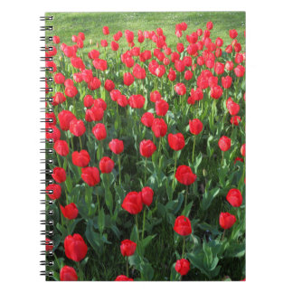 Cuaderno Cama de Tulipanes Rojos 01