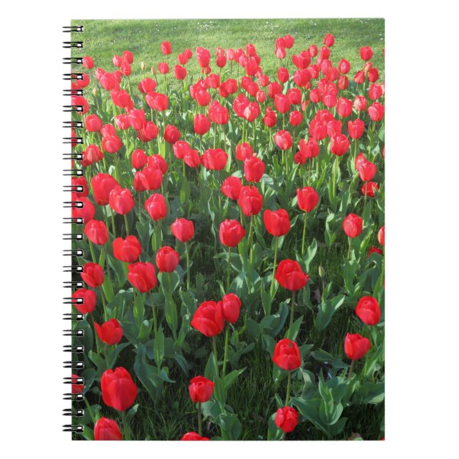Cuaderno Cama de Tulipanes Rojos 01 (Frente)