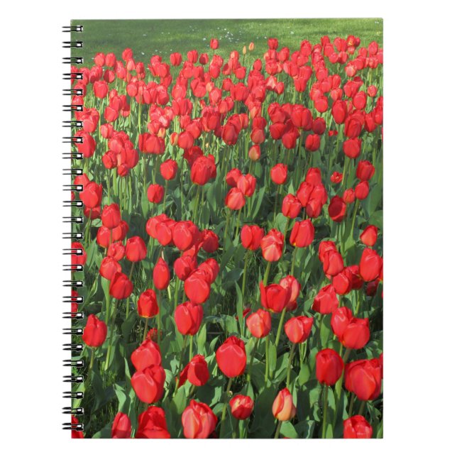 Cuaderno Cama de Tulipanes Rojos 02 (Frente)