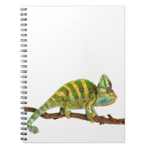 Cuaderno Camaleón