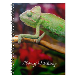 Cuaderno Camaleón verde en la rama