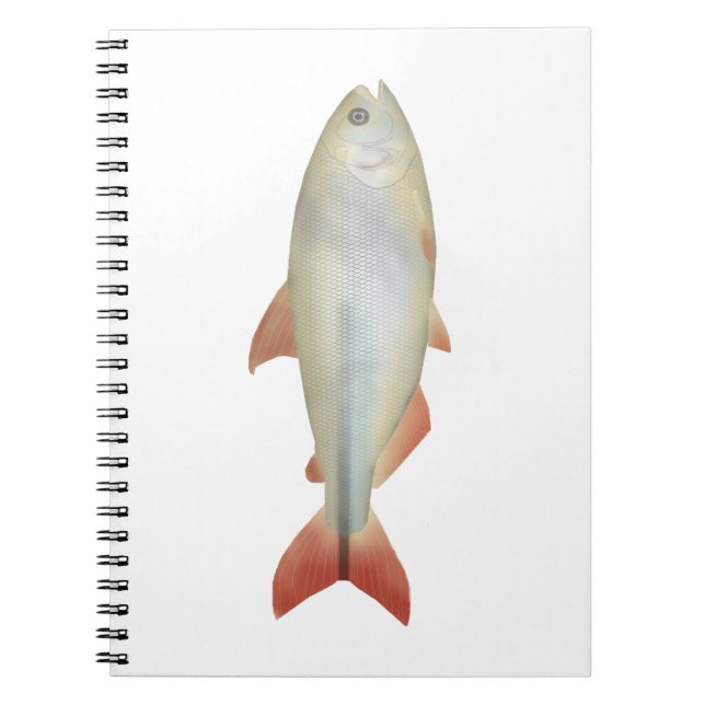 Cuaderno Camapuã (Frente)