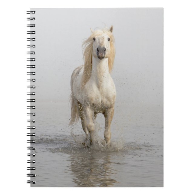 Cuaderno Camarga: Caballos corriendo en el agua (Frente)