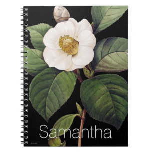 Cuaderno Camelia blanca