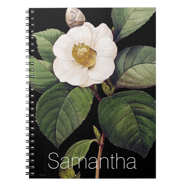 Cuaderno Camelia blanca (Frente)