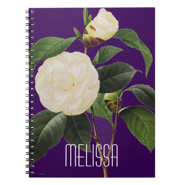 Cuaderno Camelia blanca, 1833 (Frente)