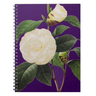Cuaderno Camelia blanca, 1833